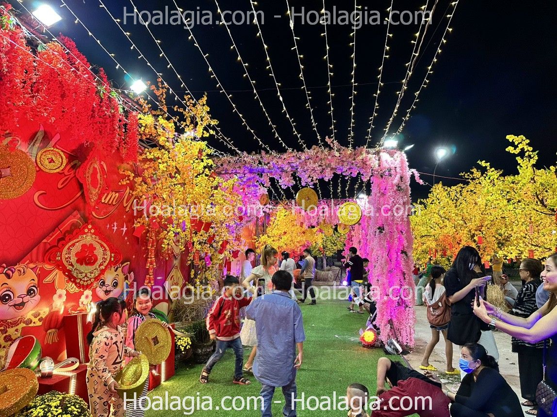 cho-thue-cay-hoa-mai-gia-su-kien-3