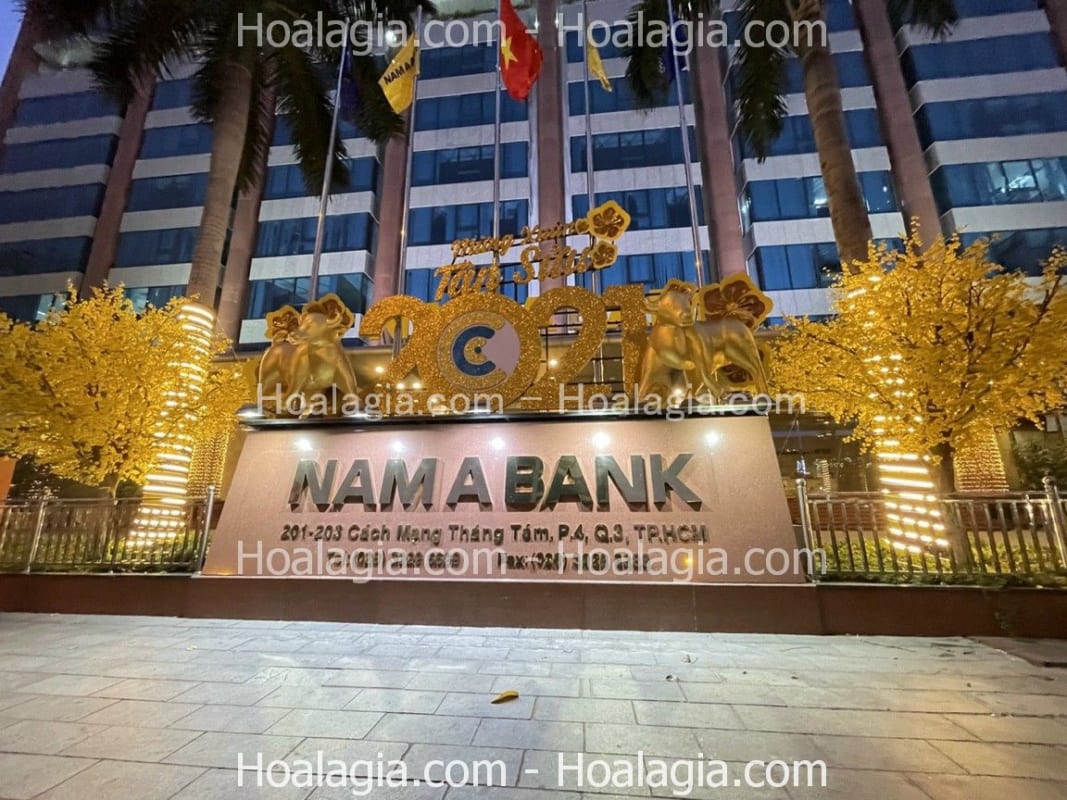 cho thuê cây hoa mai vàng giả hcm