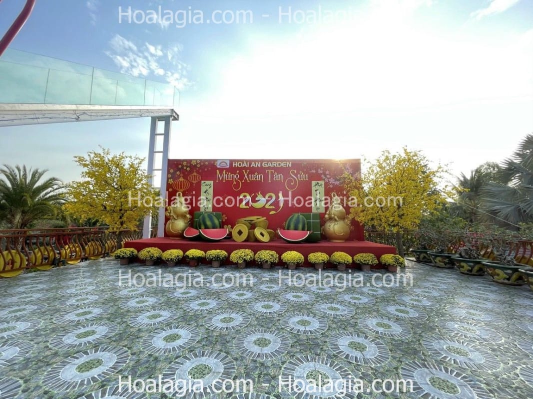 cho thuê cây hoa mai vàng giả hcm