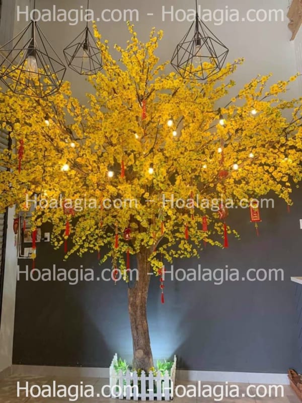 cho thuê cây hoa mai vàng giả hcm