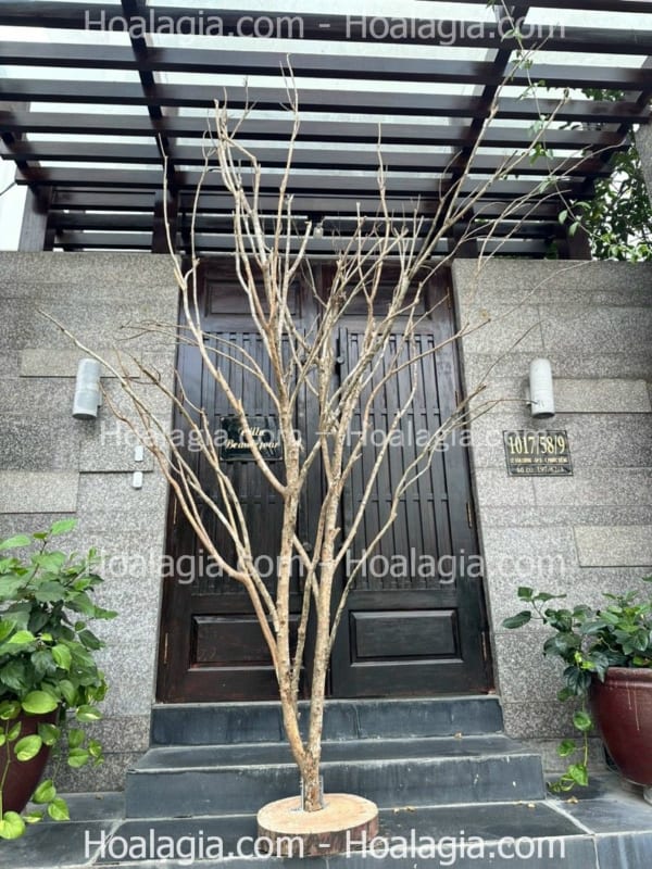 decor thân cây khô giả