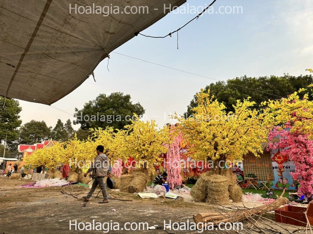 Làm cây hoa mai giả sự kiện