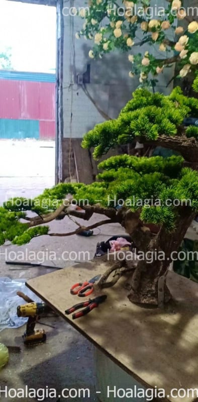 thi công cây tùng giả bonsai
